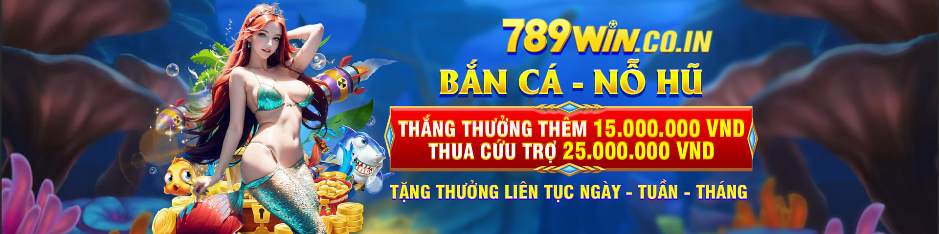 banner bancanohu
