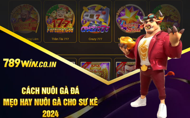 Cách Nuôi Gà Đá - Mẹo Hay Nuôi Gà Cho Sư Kê 2024