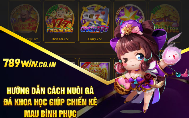 Hướng dẫn cách nuôi gà đá khoa học giúp chiến kê mau bình phục