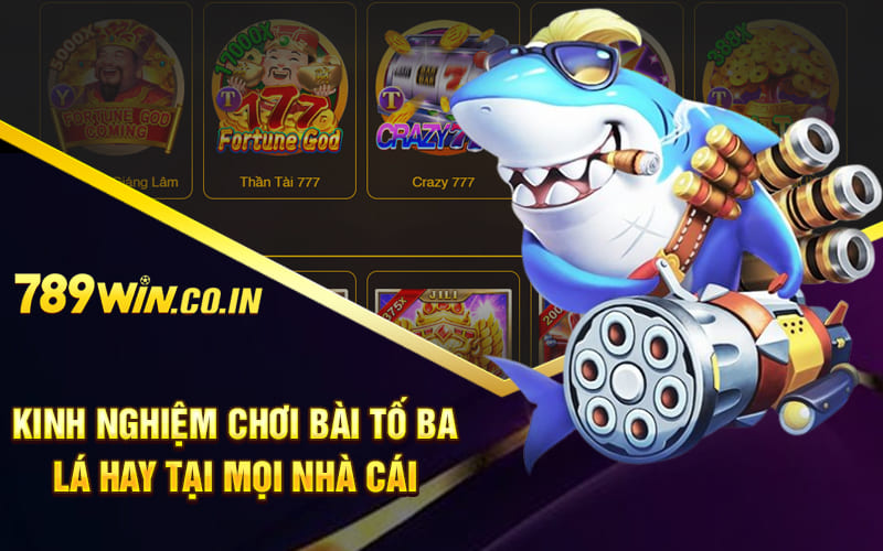Kinh nghiệm chơi Bài Tố ba lá hay tại mọi nhà cái