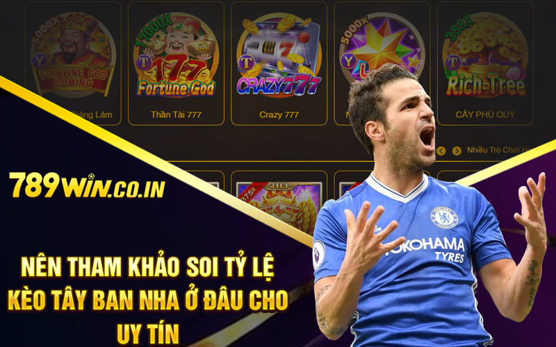 Nên tham khảo soi tỷ lệ kèo Tây Ban Nha ở đâu cho uy tín