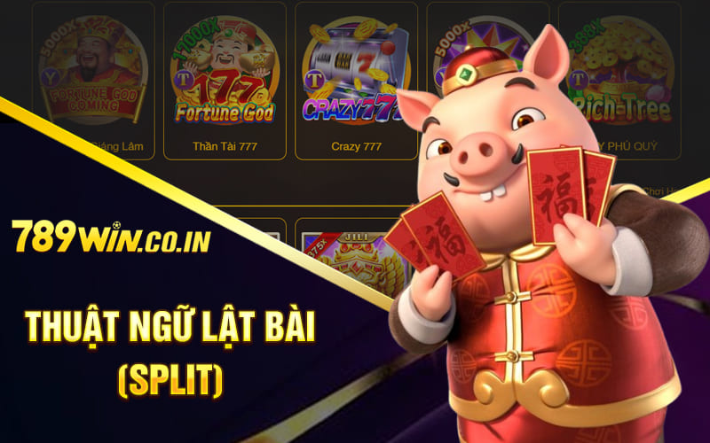 Thuật ngữ lật bài (Split)